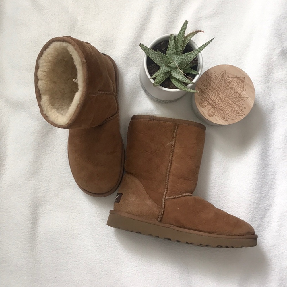 BNWOT Ugg Boots